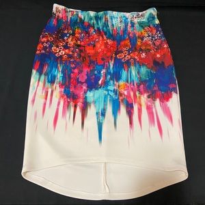 Bisou Bisou High Low Skirt